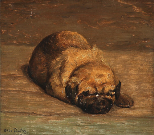 A sleeping pug., 1892, Otto Bache