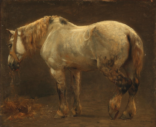A horse., 1892, Otto Bache