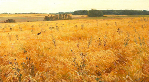 A rye field with thistles in bloom., 1887, Otto Bache
