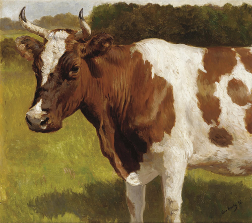 The cow., 1896, Otto Bache