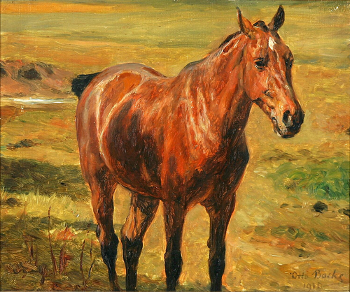 A horse in a field., 1910, Otto Bache
