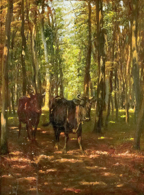 Cattle standing in a glade., 1881, Otto Bache