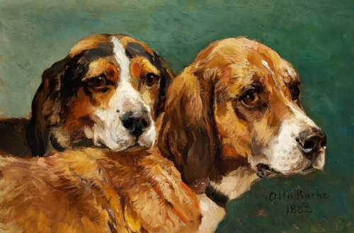 A pair of sporting dogs., 1882, Otto Bache