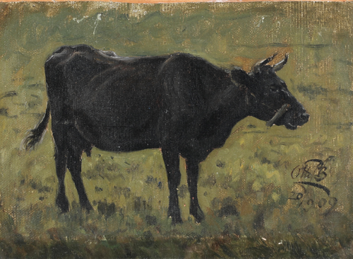 Standing black cow., 1909, Otto Bache