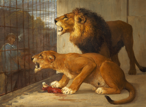 Two lions in a cage., 1892, Otto Bache