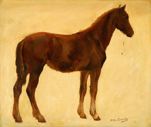 A study of a horse., 1892, Otto Bache