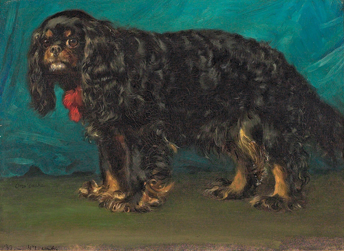 A “Cavalier King Charles” spaniel., 1892, Otto Bache
