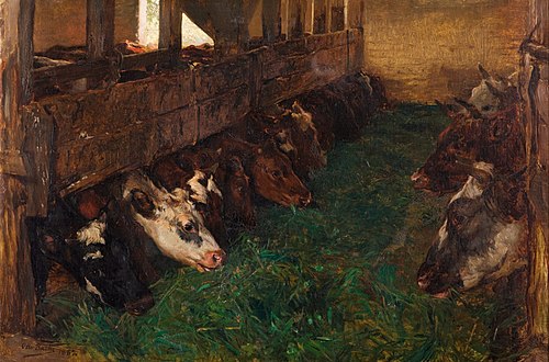 Les jeunes bovins apprécient le fourrage vert dans la grange, 1882, Otto Bache