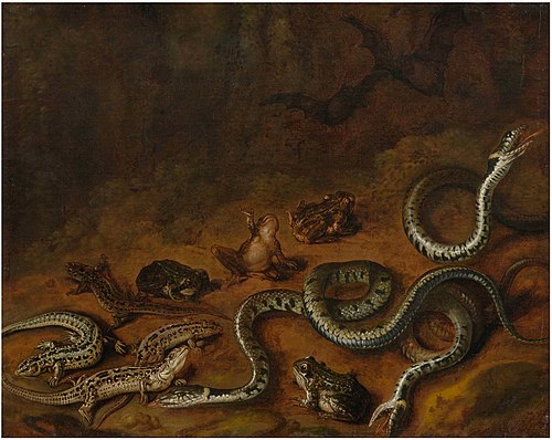 Forest scene with snakes and frogs, 1650, Christian Luycks