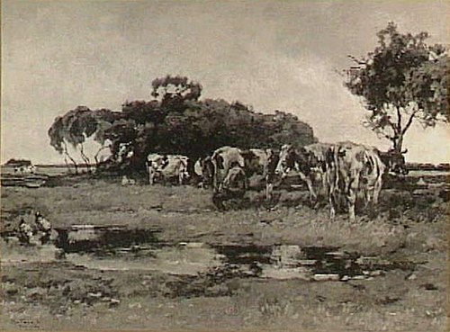 Weide met koeien, 1900, Willem Zwart