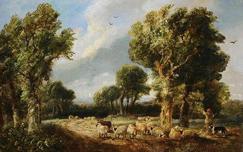 A Flock of Sheep, , John Burr