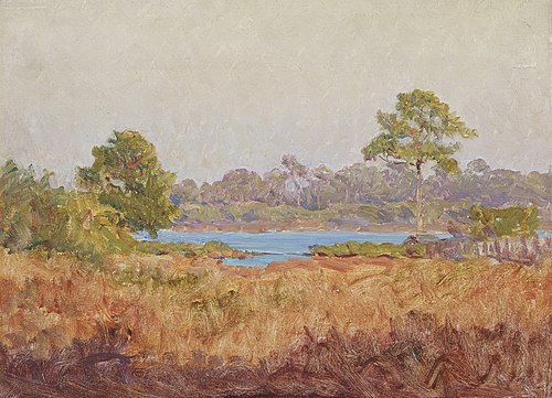 Field Study, Florida, , John Ottis Adams