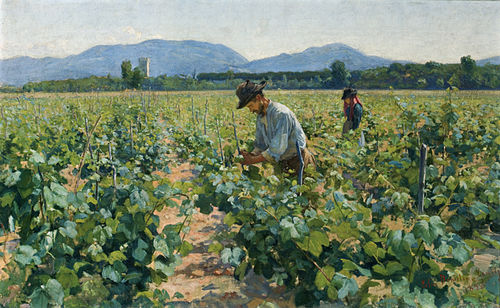 In the Vineyard II, 1898, Elin Danielson-Gambogi