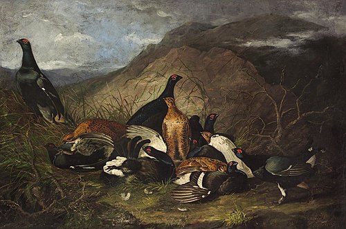 Black Cocks, 1828, Jean-Jacques Audubon