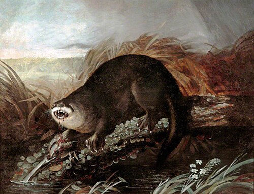 Otter Caught in a Trap, 1826, Jean-Jacques Audubon
