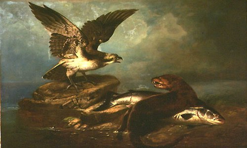 Osprey and the Otter and the Salmon, 1844, Jean-Jacques Audubon