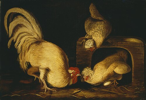 Farmyard Fowls, 1827, Jean-Jacques Audubon