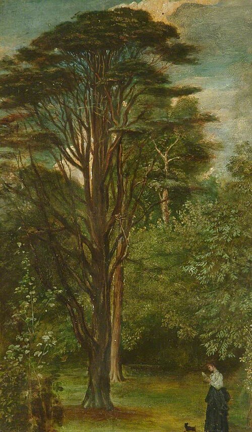 Cedar Tree, 1868, George Frederic Watts