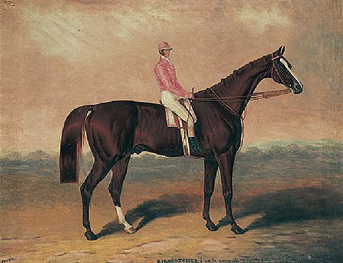 Birdcatcher, with jockey up, , Samuel Spode