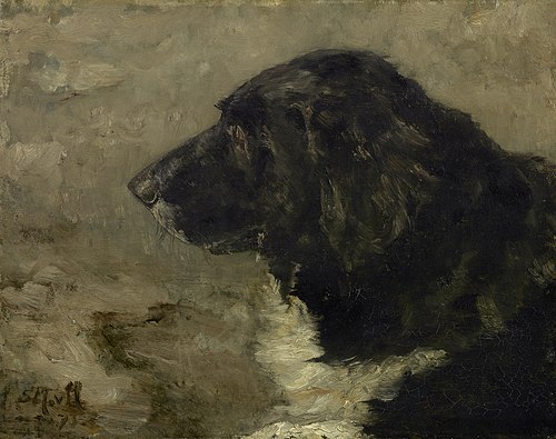 Head of a dog: Nero, 1875, Sina Mesdag-van Houten