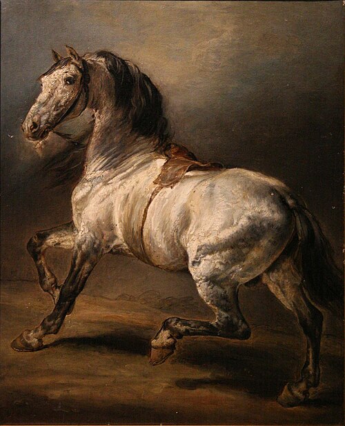 Étude de cheval gris, 1830, Théodore Géricault