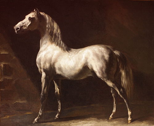 Cheval arabe blanc-gris, 1812, Théodore Géricault