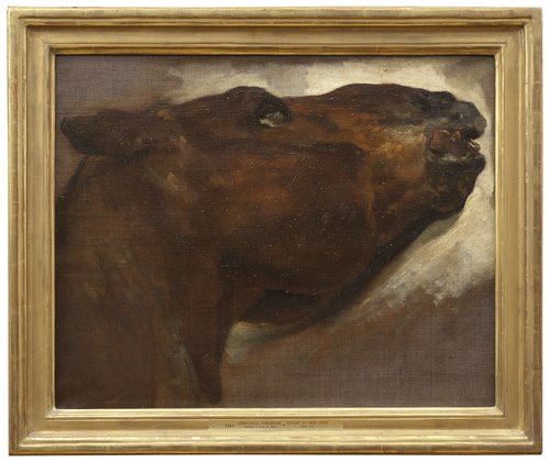 Study of a Dead Horse, , Théodore Géricault