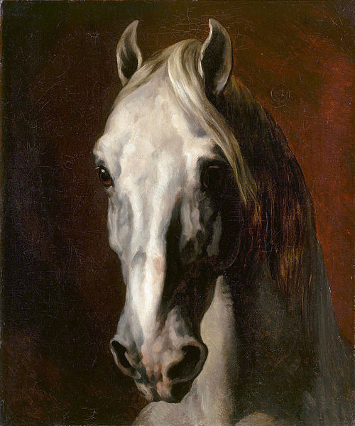 Tête de cheval blanc, 1811, Théodore Géricault