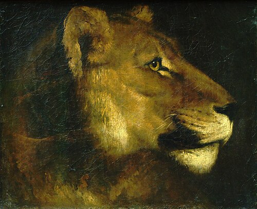 Tête de lionne, 1819, Théodore Géricault