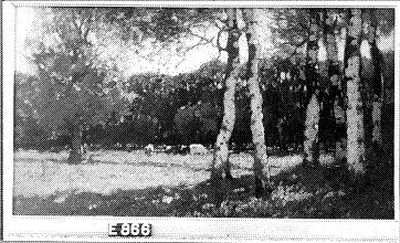 Landscape with cattle, 1924, Cornelis Kuypers