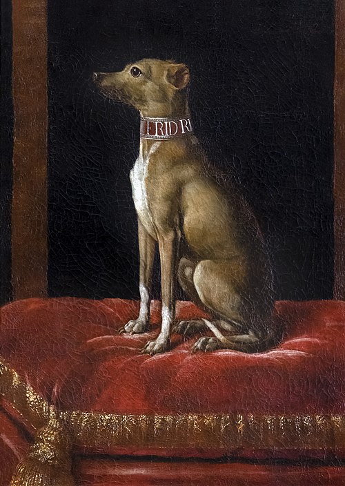 Un chien de grand seigneur, 1735, Jean Ranc