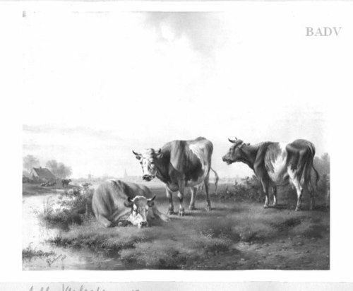 dutch-landscape with three cows, 1848, Albertus Verhoesen
