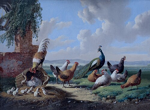 Fowl in a Landscape, 1874, Albertus Verhoesen