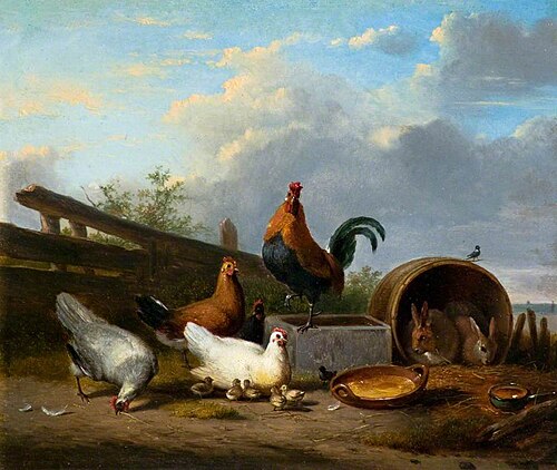 Farmyard Scene, , Albertus Verhoesen