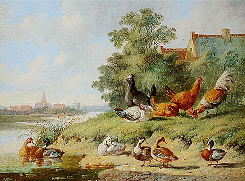 Birds at the river, , Albertus Verhoesen
