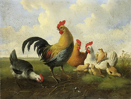 A rooster with Hens and Chicks, 1855, Albertus Verhoesen
