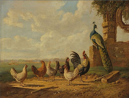 Chickens and Peacock in a Landscape, 1850, Albertus Verhoesen