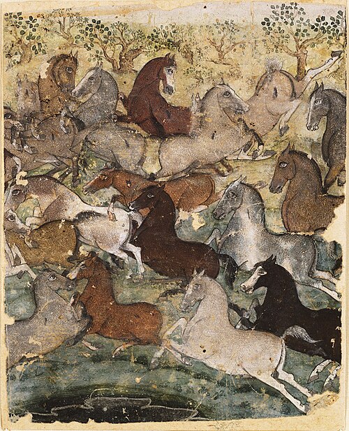 Wild Horses, 1800, Chokha