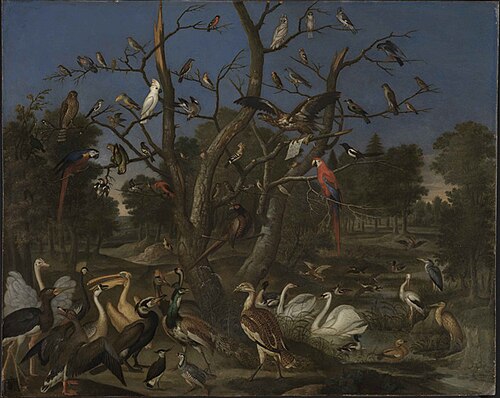 A concert of birds, 1678, Franz de Hamilton
