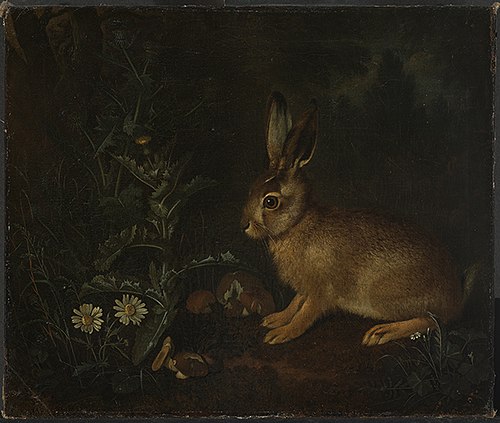 Hare at the edge of a forest with thistles and mushrooms, 1678, Franz de Hamilton