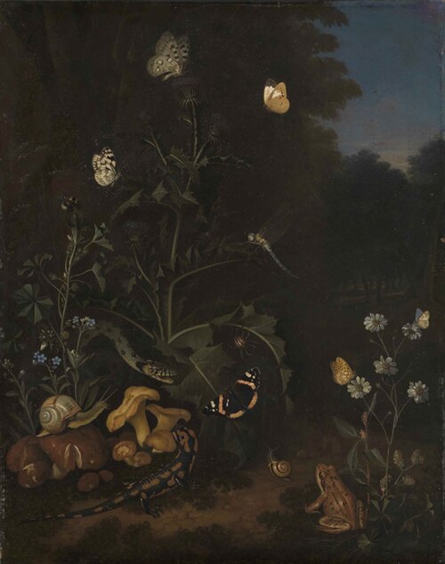 Distel am Waldrand, , Franz de Hamilton