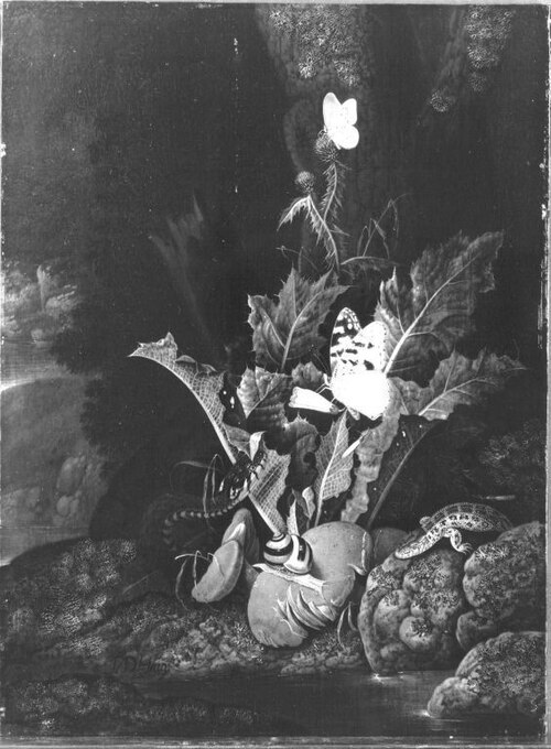 Stillleben mit Distel, Eidechse und Schlange, , Franz de Hamilton