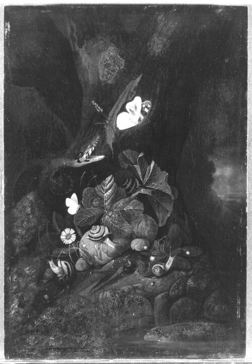 Still life with snake, snails and insects, 1675, Franz de Hamilton