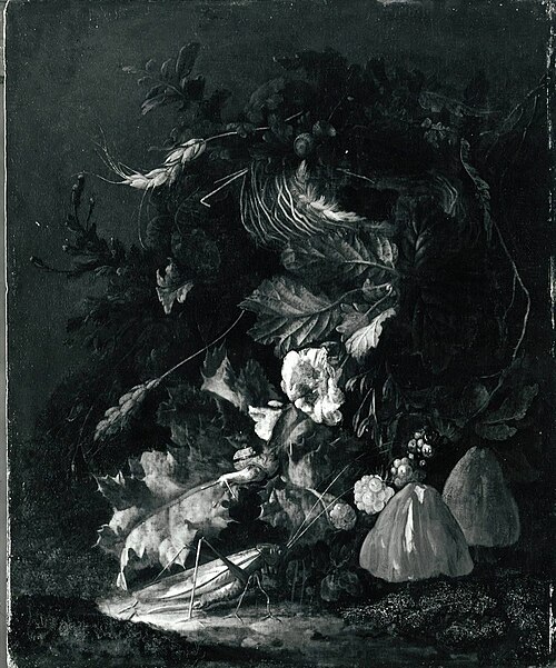 Stillleben mit Vogelnest (?), , Franz de Hamilton
