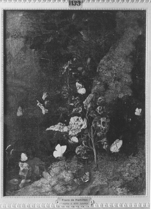 Stillleben: Schmetterlinge und Pflanzen, 1678, Franz de Hamilton