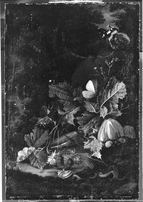 Stillleben: Waldboden mit Heuschrecke, 1678, Franz de Hamilton
