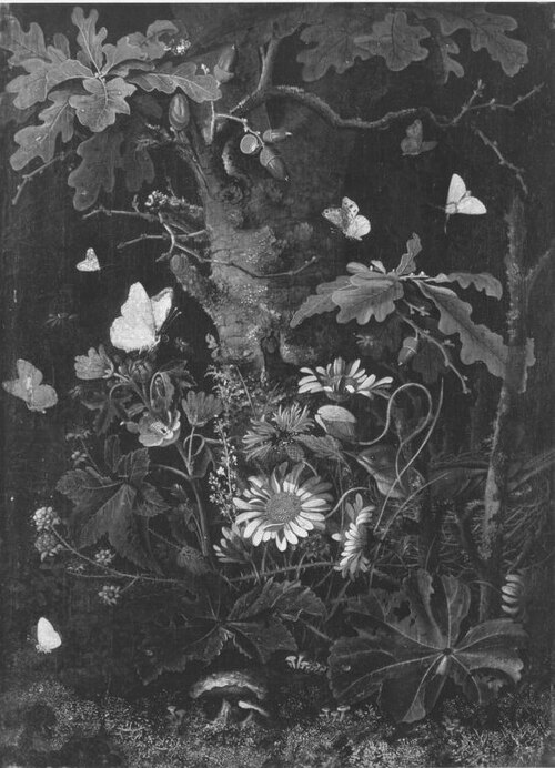 Stillleben, 1678, Franz de Hamilton