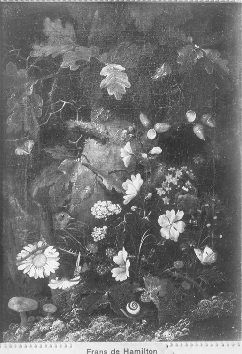Stillleben: Pilze vor Eichenstamm, 1678, Franz de Hamilton