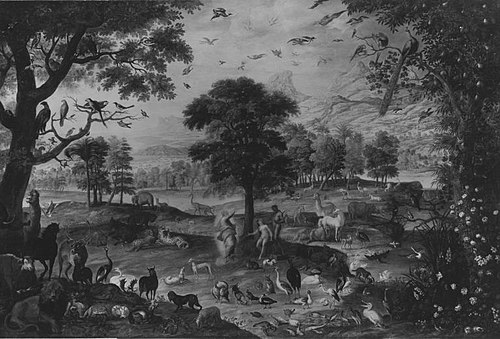 the creation of Adam and Eve in the Garden of Eden, 1700, Jacob Bouttats