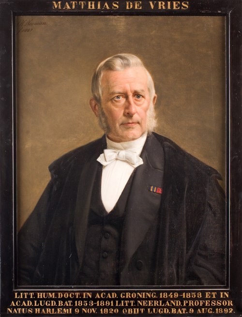 Portret van Matthias de Vries, hoogleraar Nederlands en Vaderlandse Geschiedenis te Leiden, 1887, Johan Heinrich Neuman